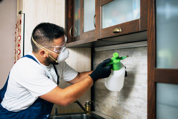 Best Bed Bug Extermination  in Knoxville, IA