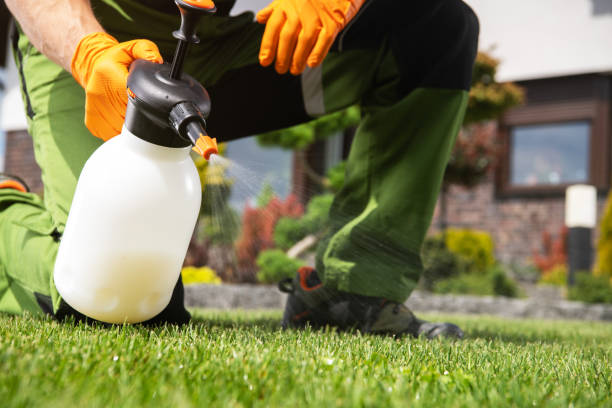 Best Pest Control Near Me  in Knoxville, IA